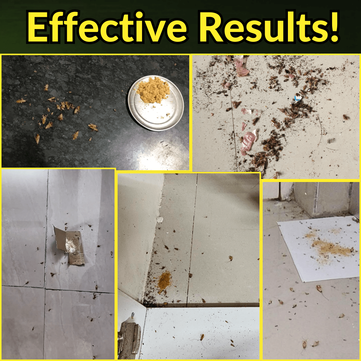 Cockroach Killer Powder Insecticide for Home, Kitchen,Office Insect Control - #Royalkart#cockroach killer powder