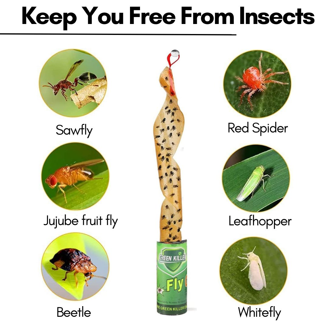 mosquitoe fly catcher for insects