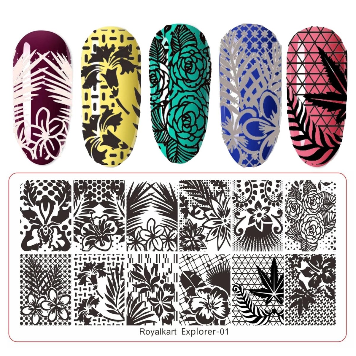 Nail Art combo kit with Nail Stamping Plate (Explorer-01) & Nail art tool Kit Nail Art Combo- #Royalkart#Explorer Collection