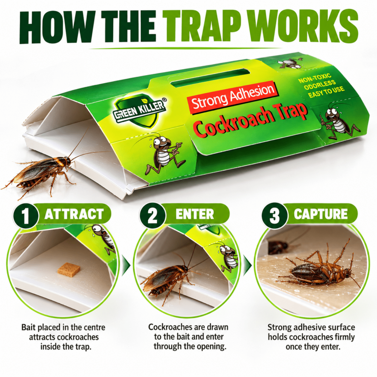 Cockroach Glue Traps with Bait - Pack of 10 Insect Control- #Royalkart#cockroach trap